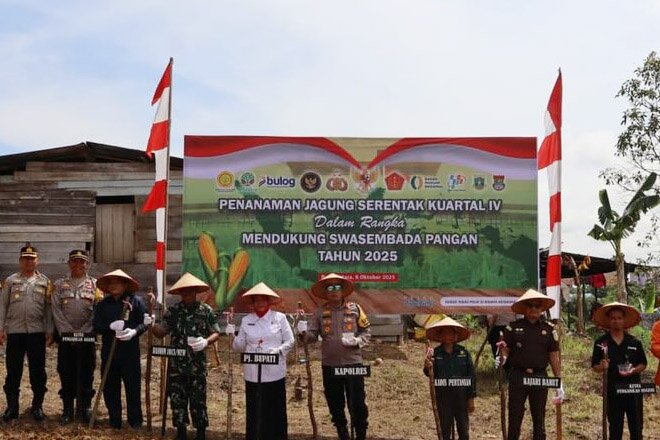 Hadiri Tanam Jagung Serentak, Pemkab Barut Komitmen Dukung Program Swasembada Pangan Nasional
