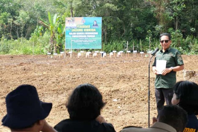 Bupati Murung Raya Hadiri Tanam Jagung Hibrida di Kelurahan Saripoi
