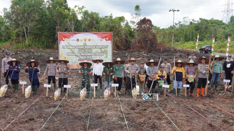 Dukung Program Swasembada Pangan, Pemkab Mura Ikuti Tanam Jagung Seretak