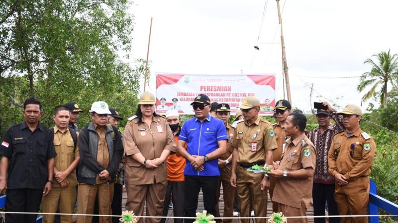 Hadiri Peresmian Jembatan Penyeberangan, Anggota Komisi III DPRD Kapuas Apresiasi Langkah Pemda