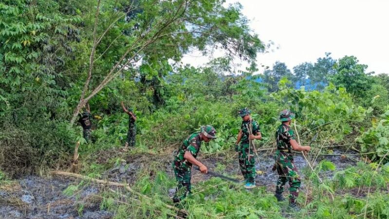 Dari Semak Jadi Harapan, Satgas TMMD Ke 126 Kodim 1013/Mtw Ubah Lahan Tidur Jadi Aset Desa