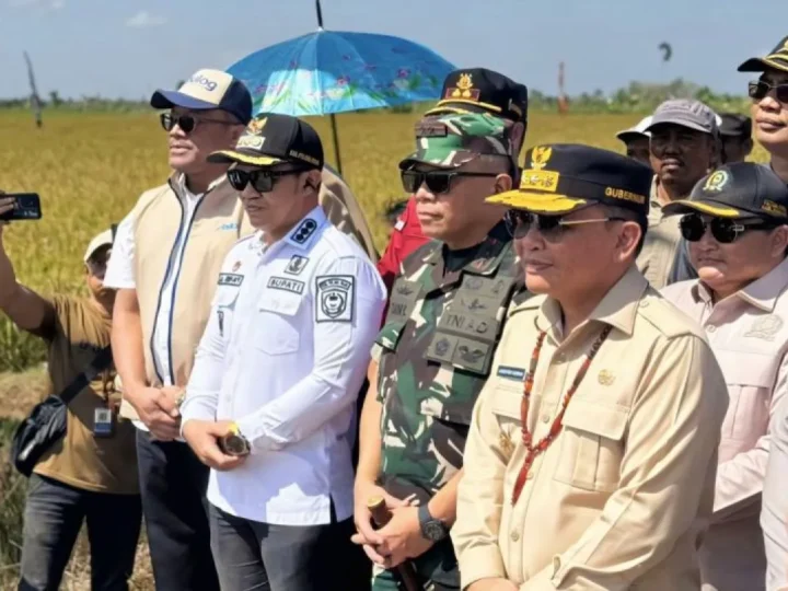 Bulog Kalteng Optimalkan Penyerapan Gabah Petani di Kapuas Selama Musim Panen