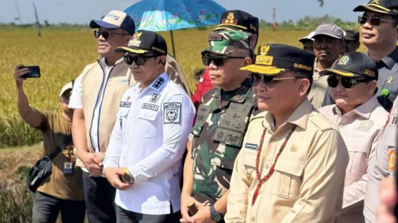 Bulog Kalteng Optimalkan Penyerapan Gabah Petani di Kapuas Selama Musim Panen